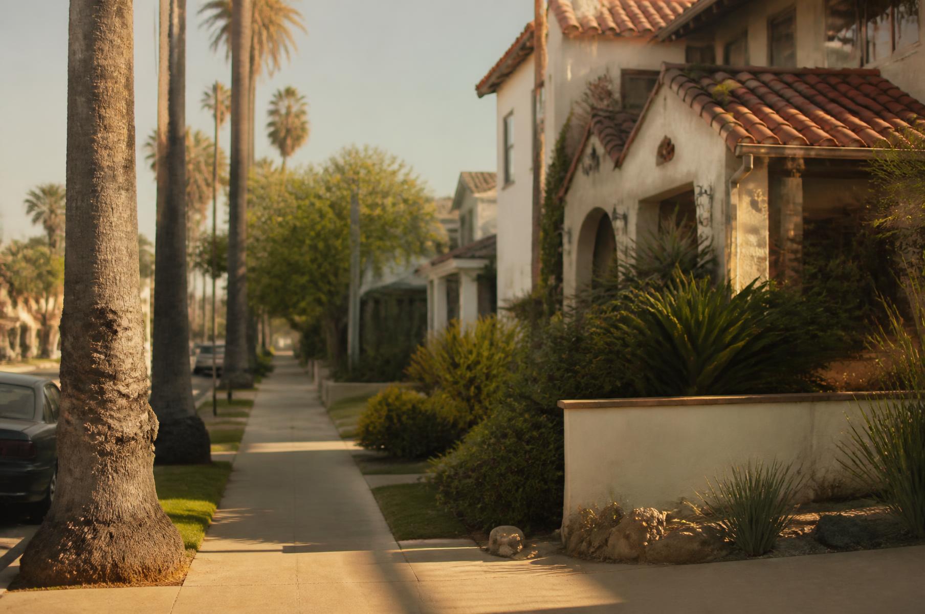 A palm-lined residential street in Long Beach, California